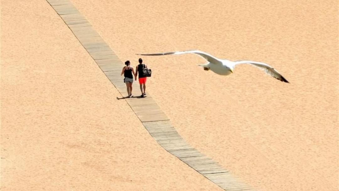 In Downtown - Villa Serenity