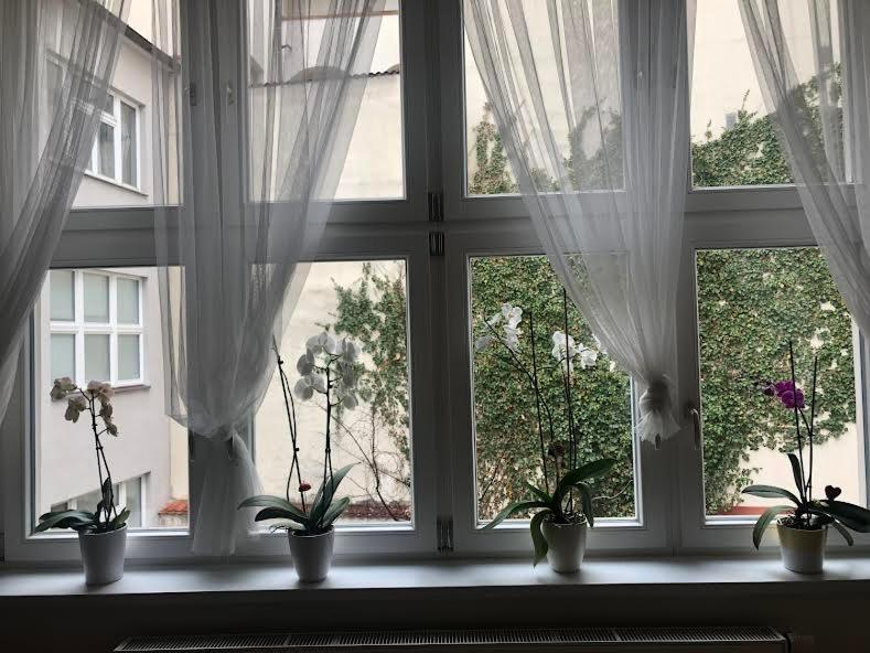 Inner courtyard view