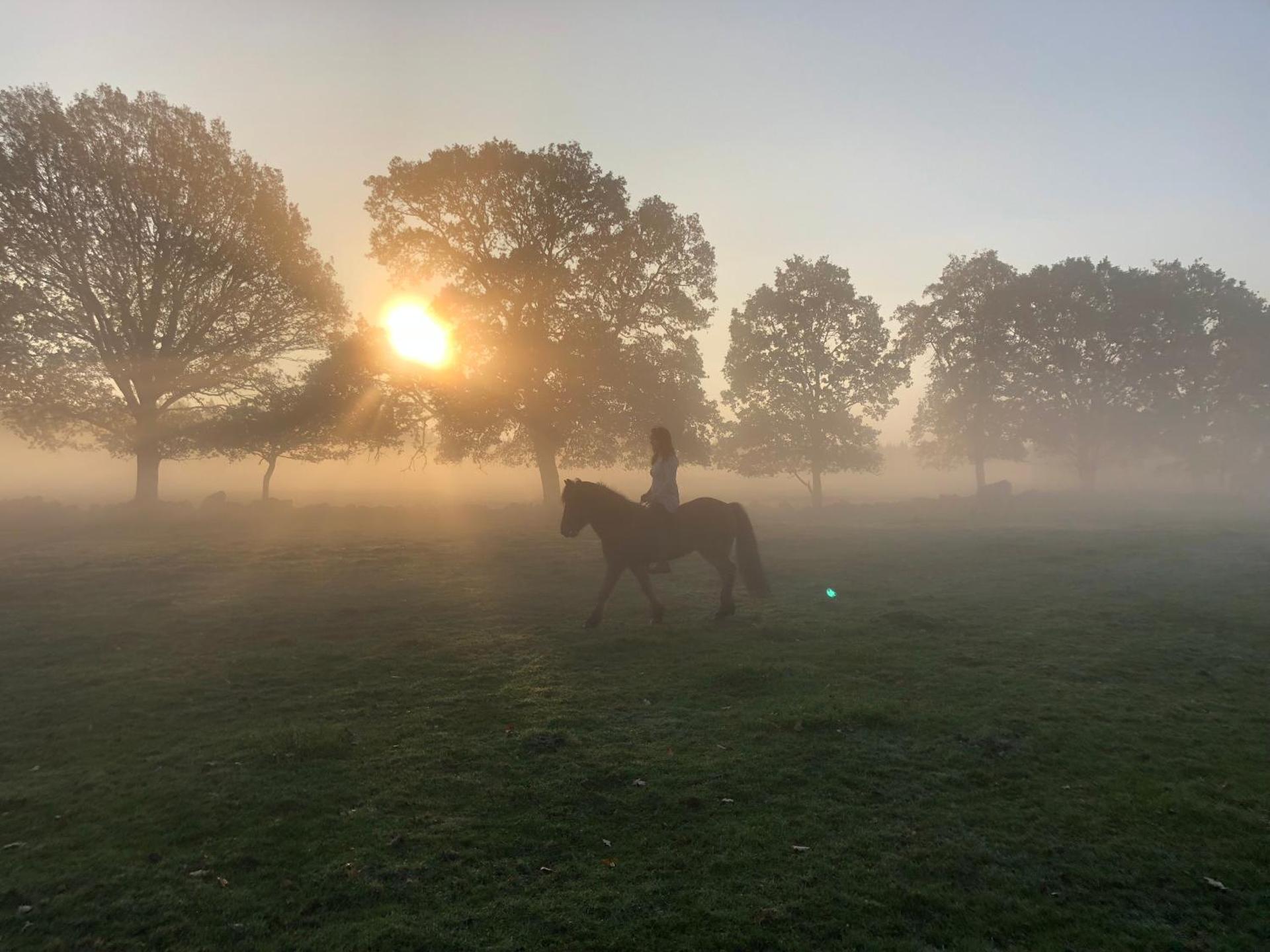 Kattalängan - Lilla huset