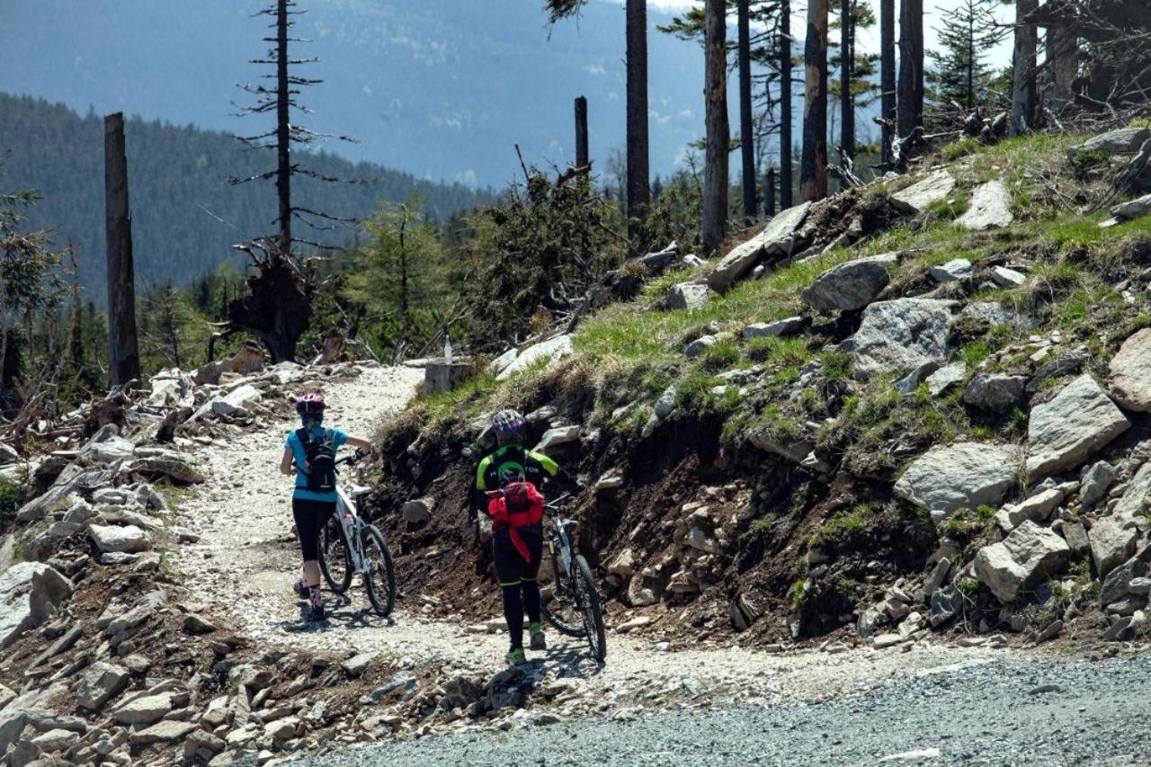 Biała Perła Sunny Mountain 103