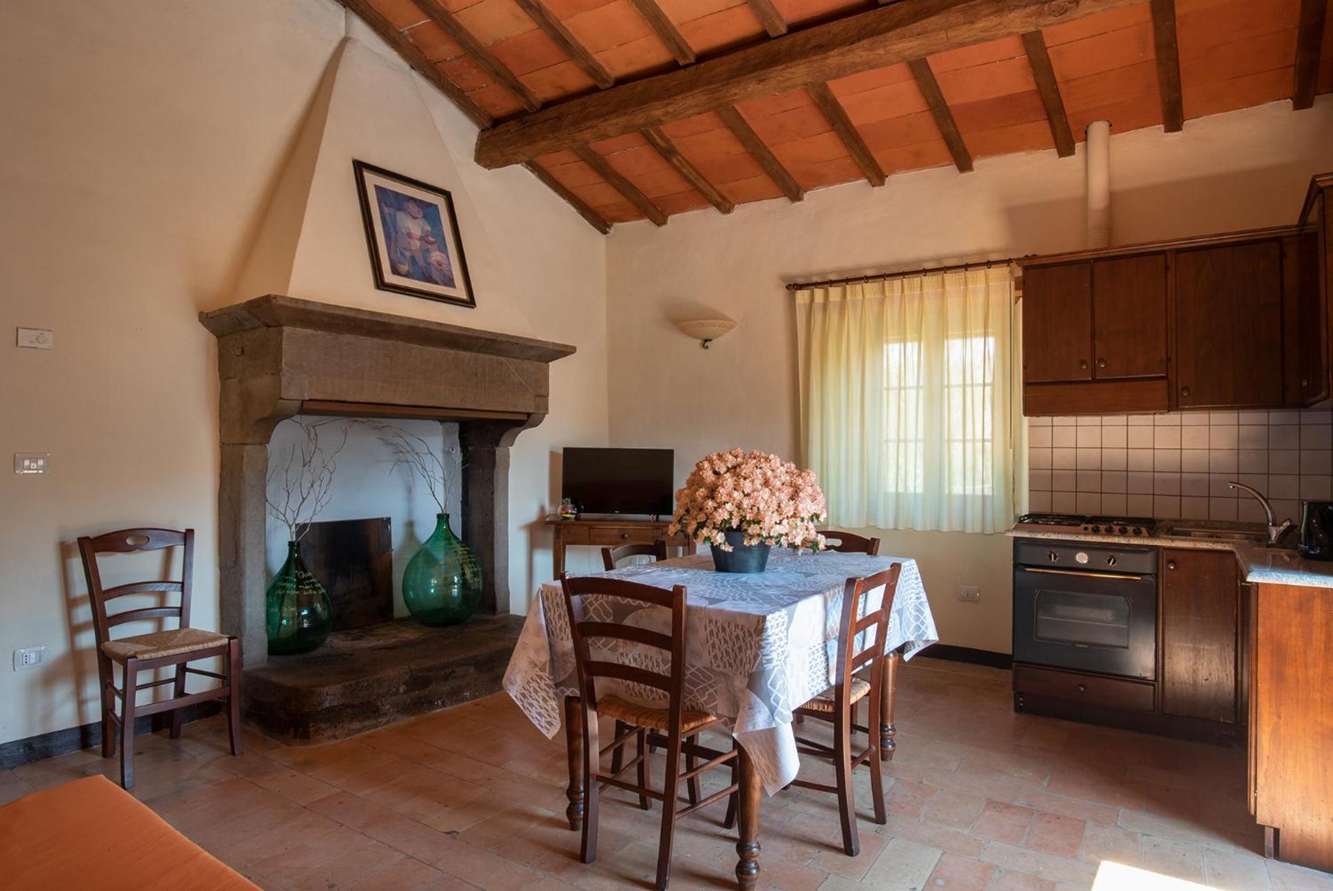 Apartment with Mountain View