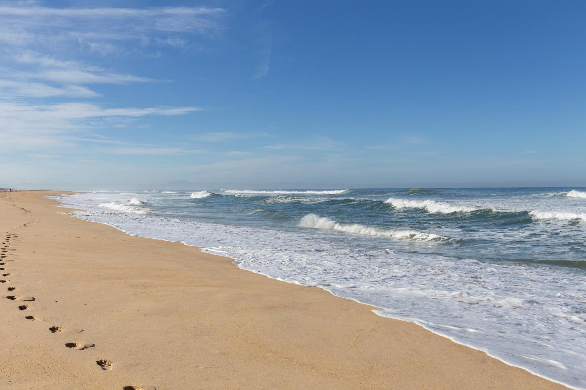 Location Seignosse Le Penon