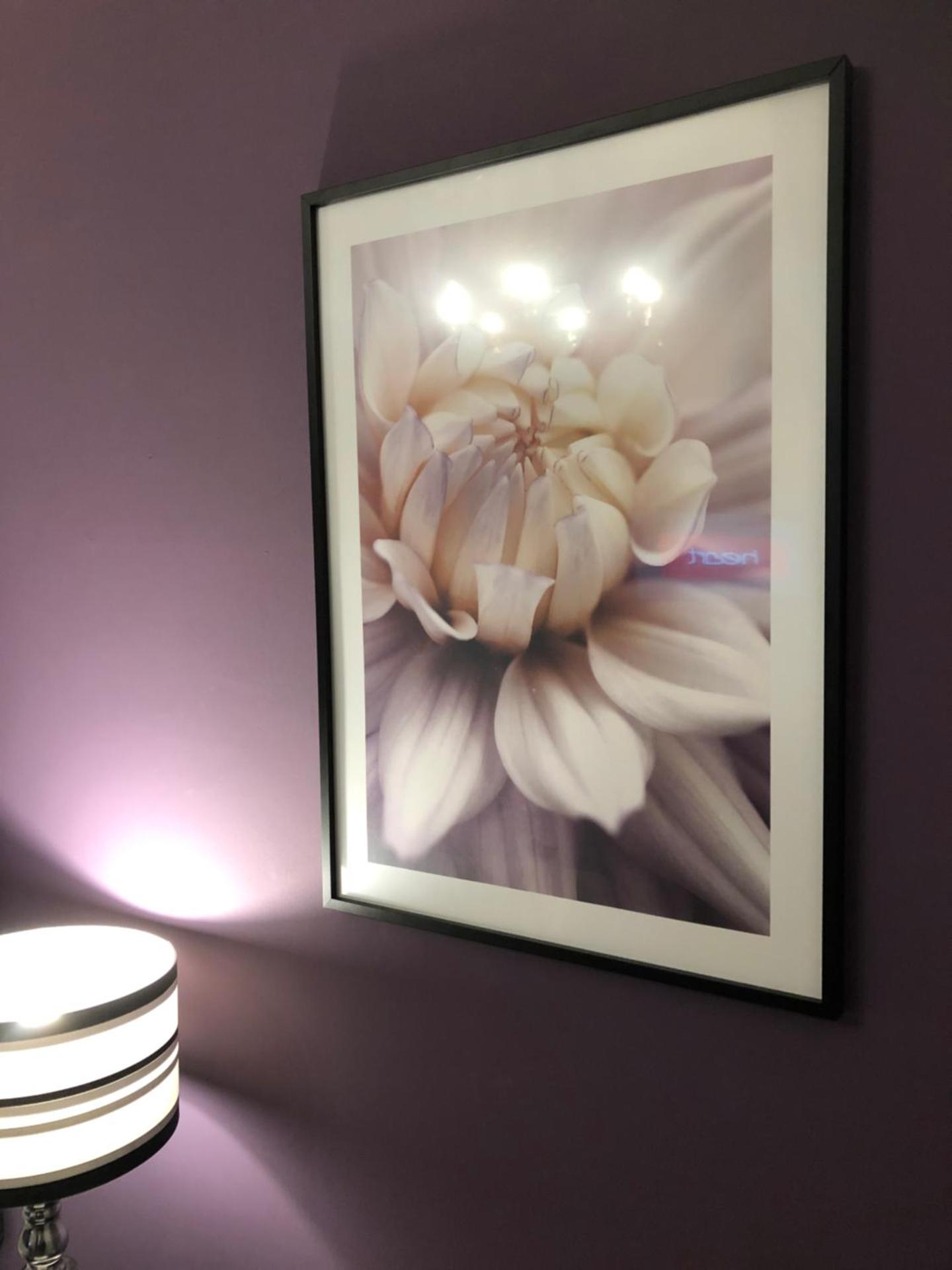 Brighton Surf Guest House