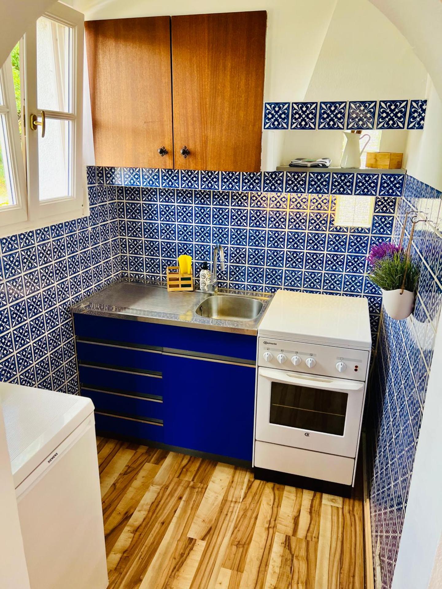 Cloud 9 , Apartment mit Garage und Garten in Nähe der Uniklinik, Bosch, Ina Schaeffler