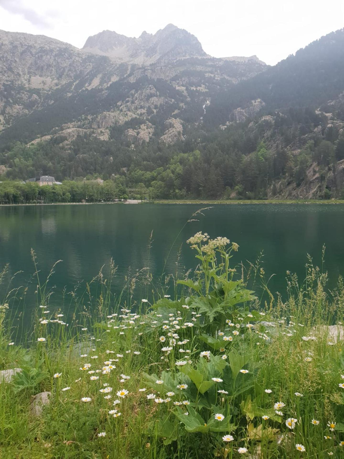 Mandilar Confort Panticosa