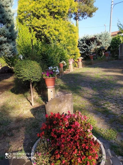 Bellorizzonte Colleferro