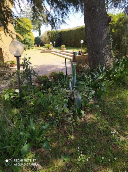 Bellorizzonte Colleferro