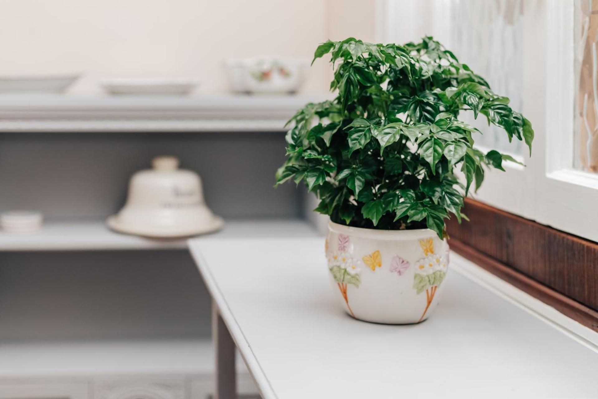 Park End House - Parking, Pet Friendly