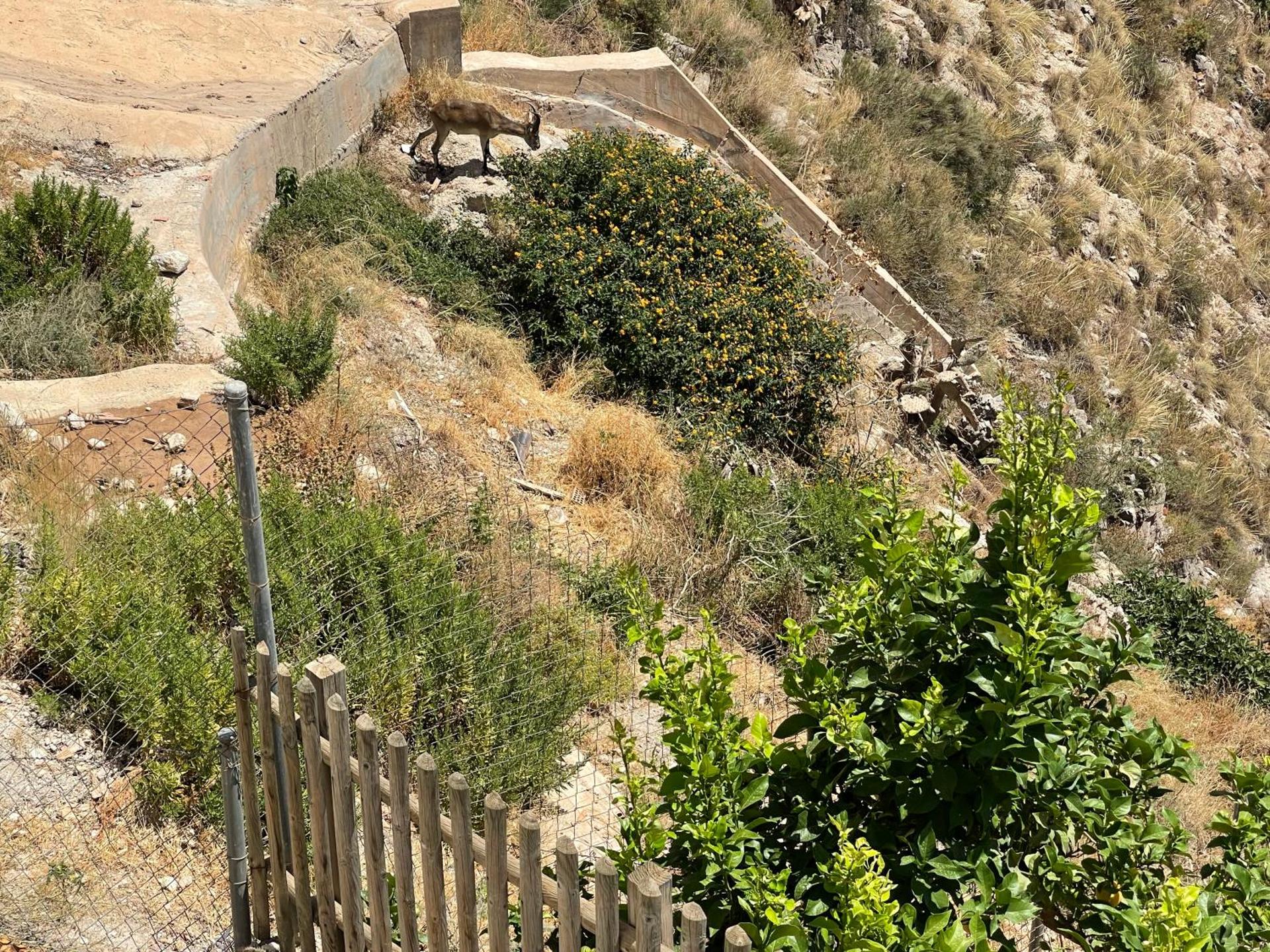 Apartamentos Axarquia , Frigiliana, terraza privada con vistas a la montaña rio y al mar