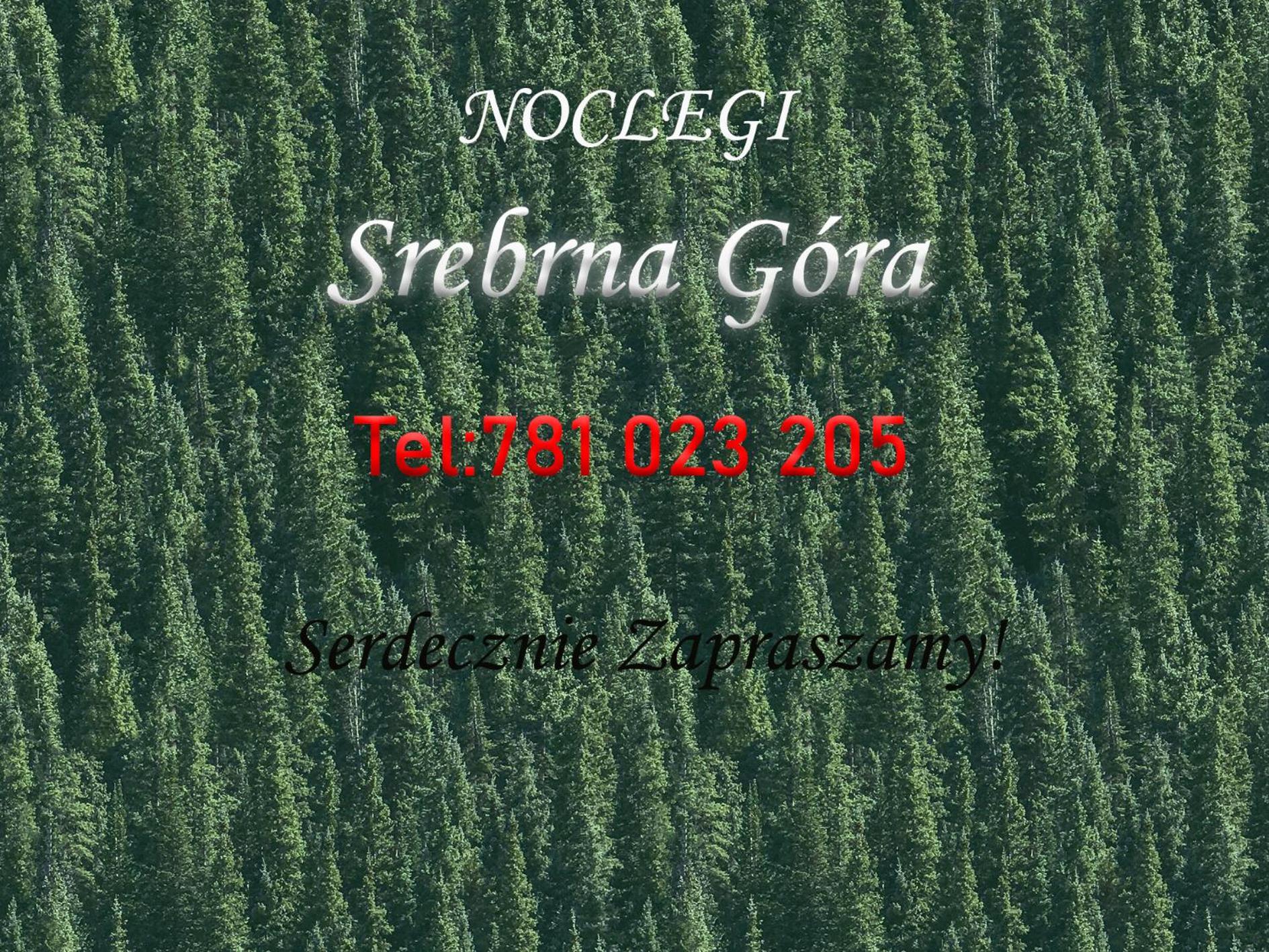 Noclegi Srebrna Góra