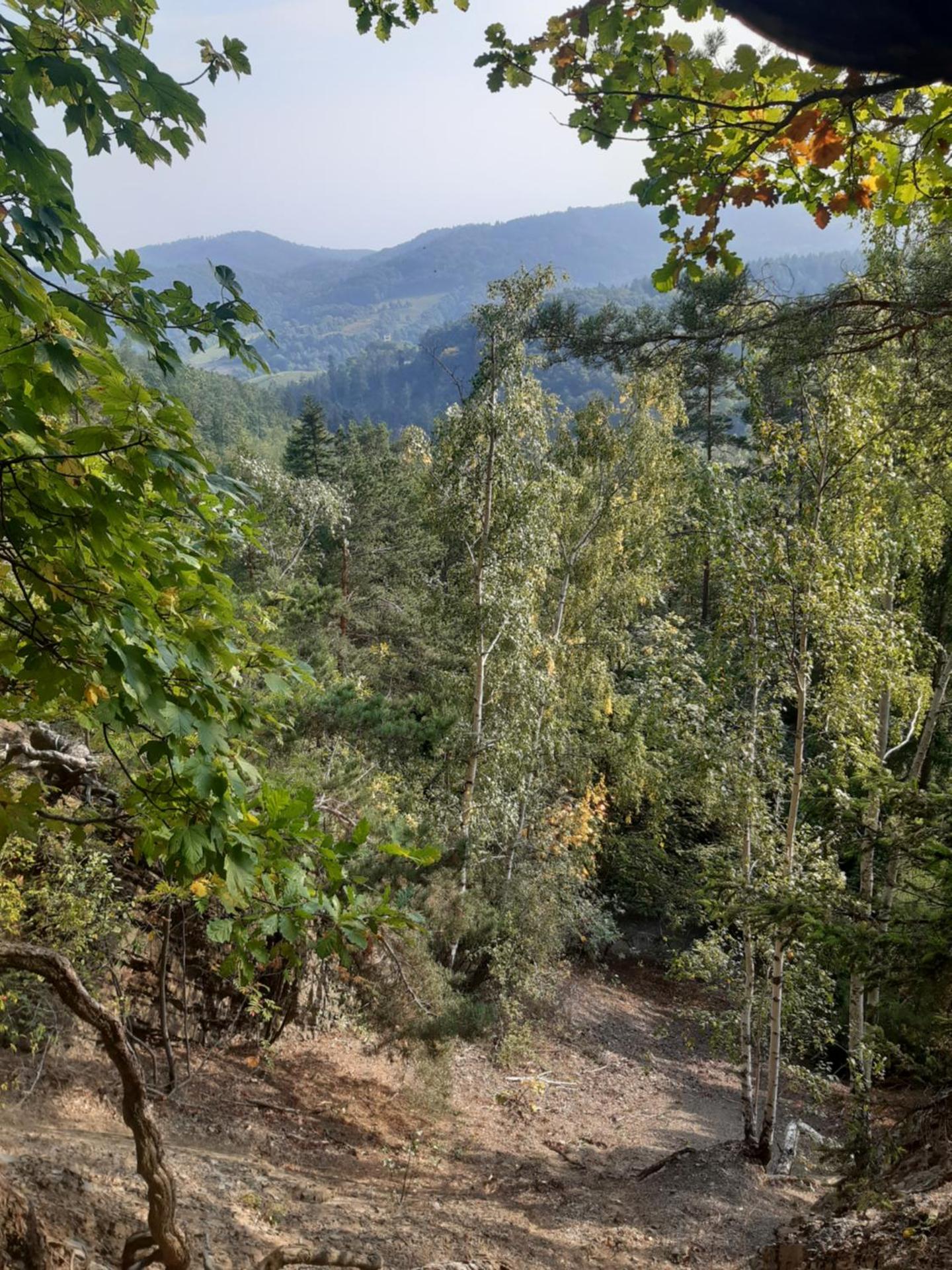 Noclegi Srebrna Góra