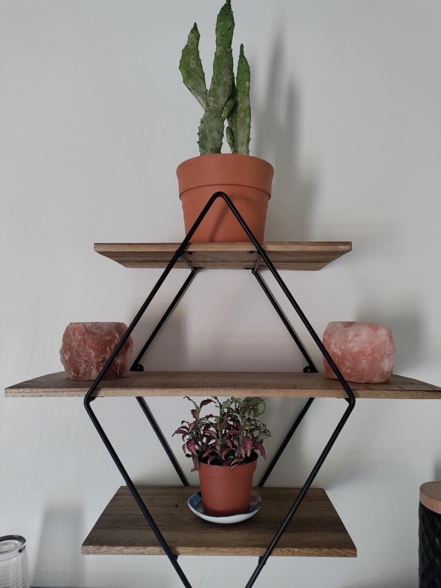 Chez Chapelle in the heart of the Gascony with pool, pets welcome!