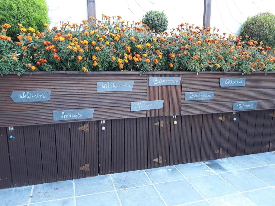 Studio Au jardin fleuri