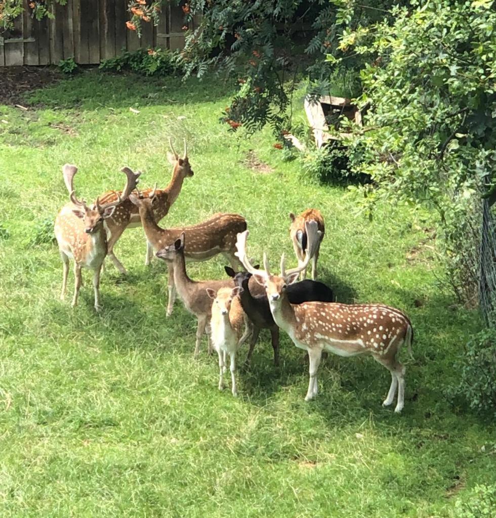 Ferienwohnung Kendlbacher