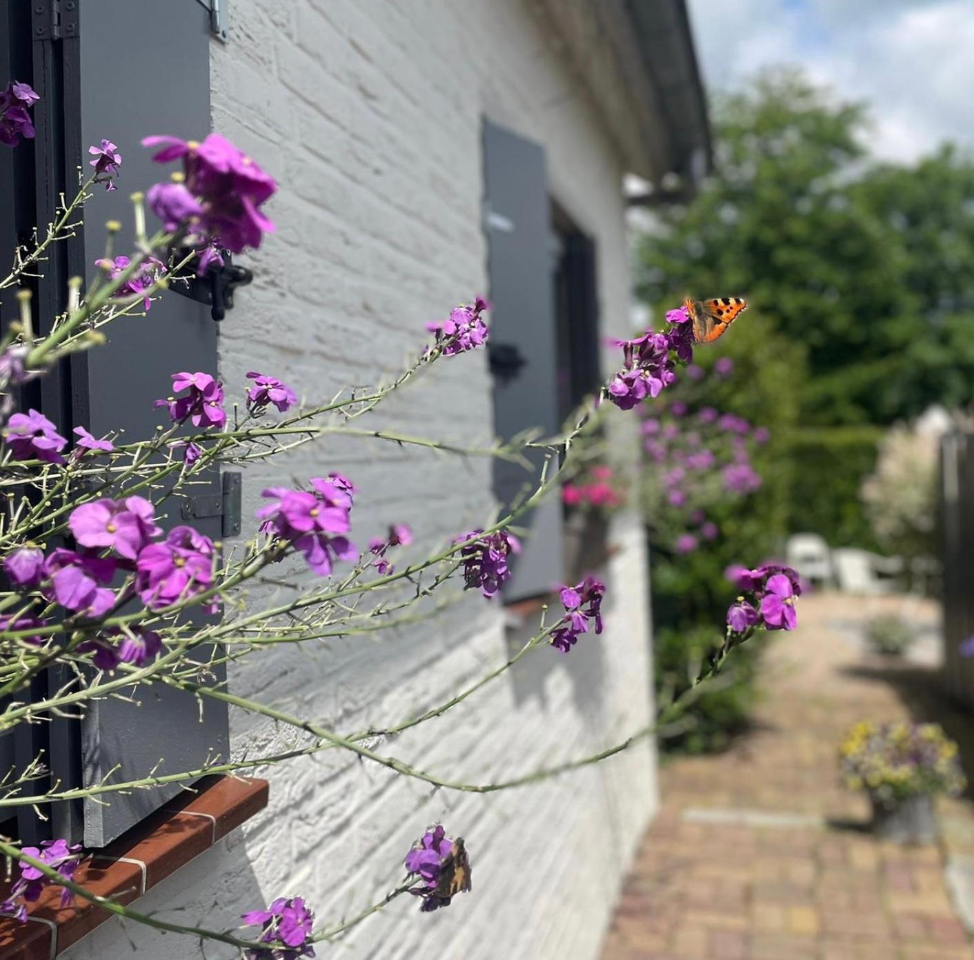 A little Peace and Quiet