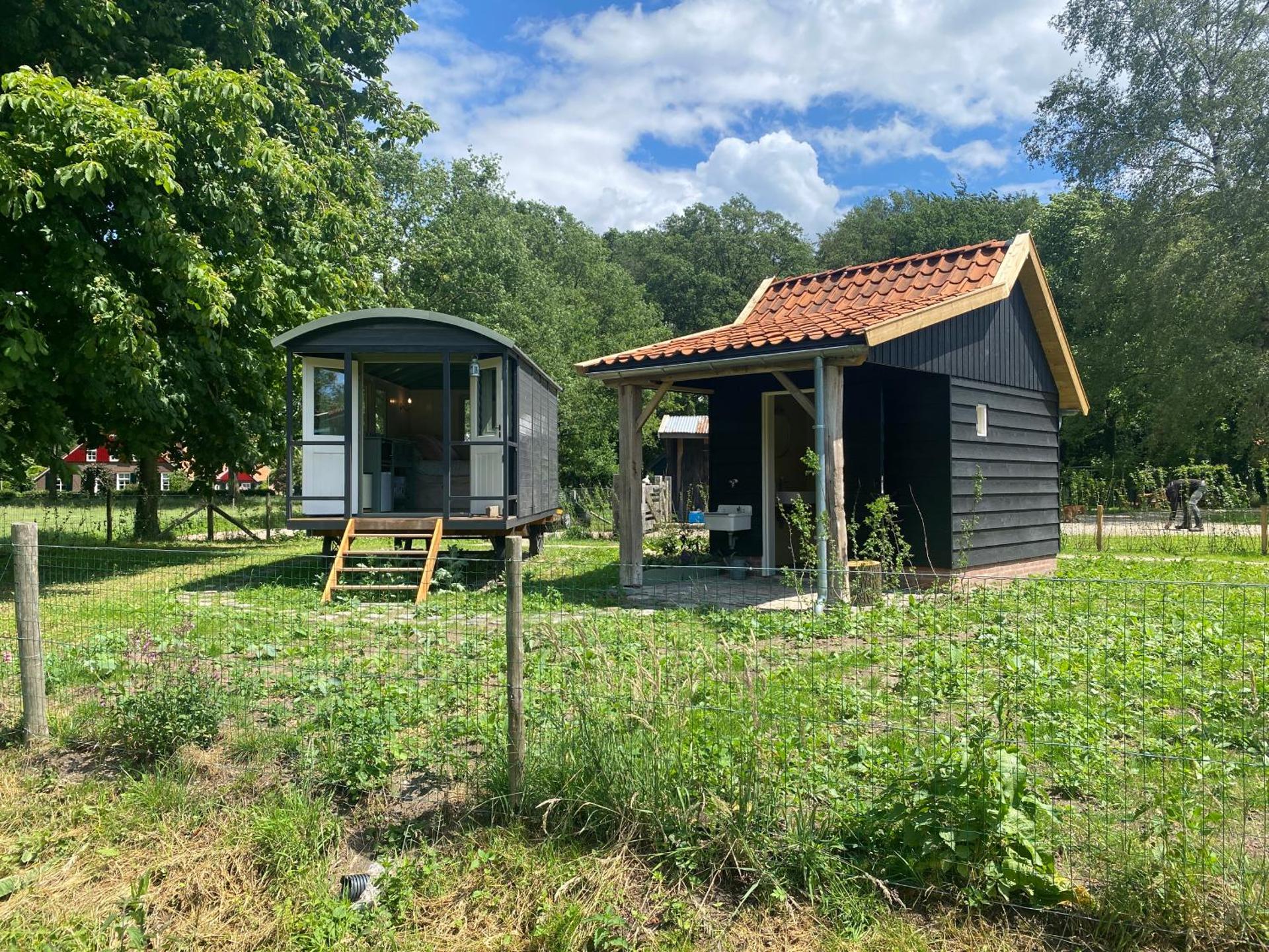 Tiny house, pipowagen onder de kastanje