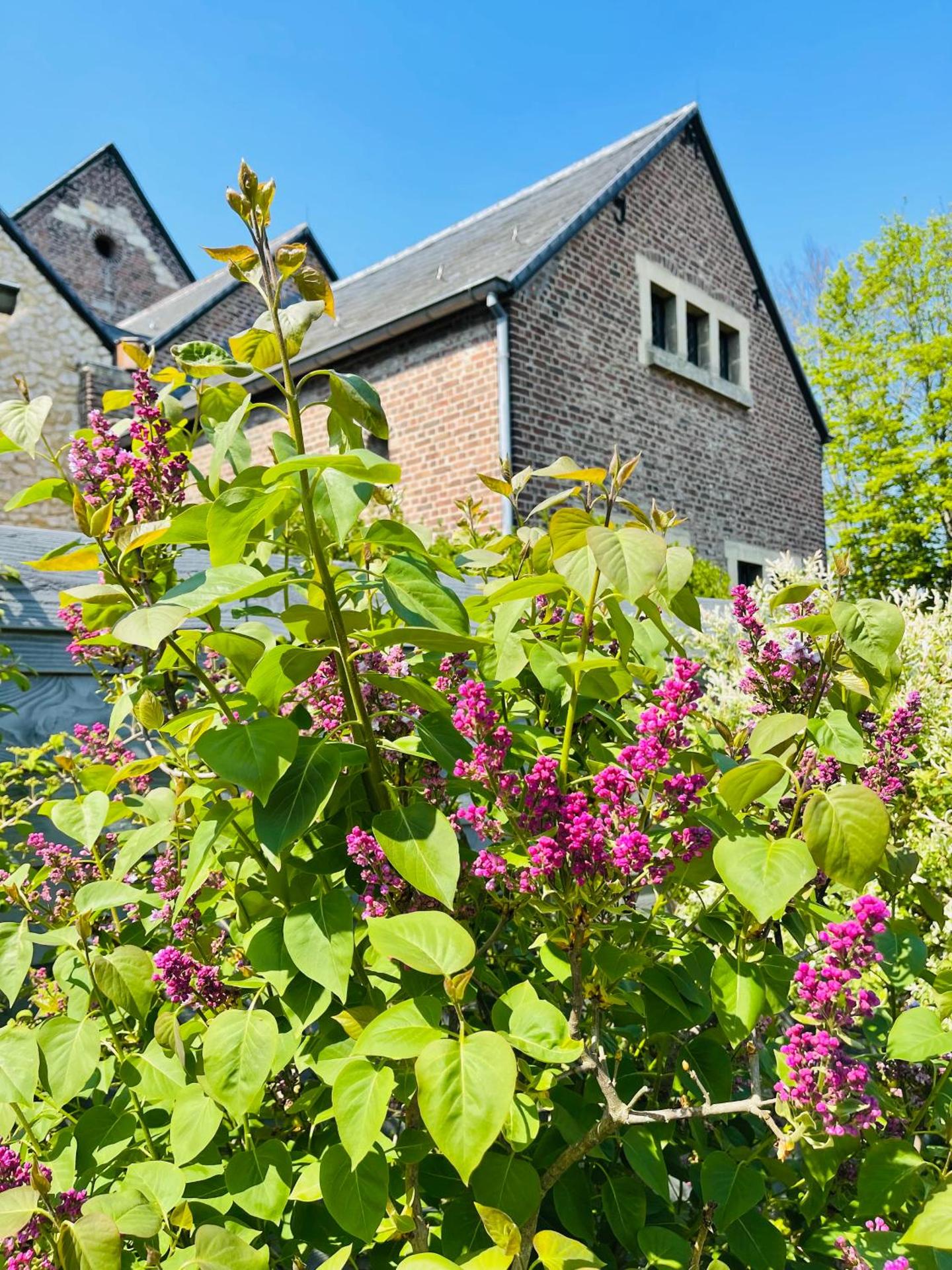 A little Peace and Quiet