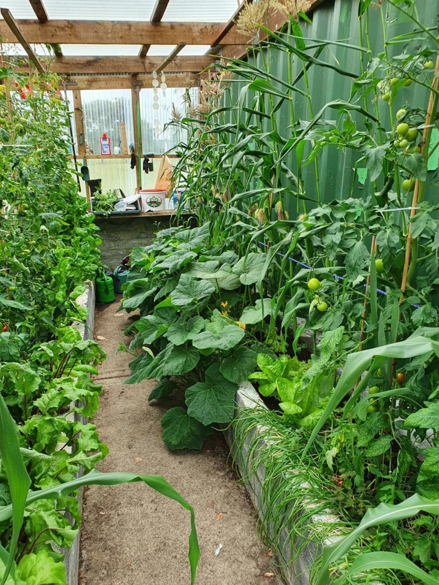 Jackie’s @ Bontrum