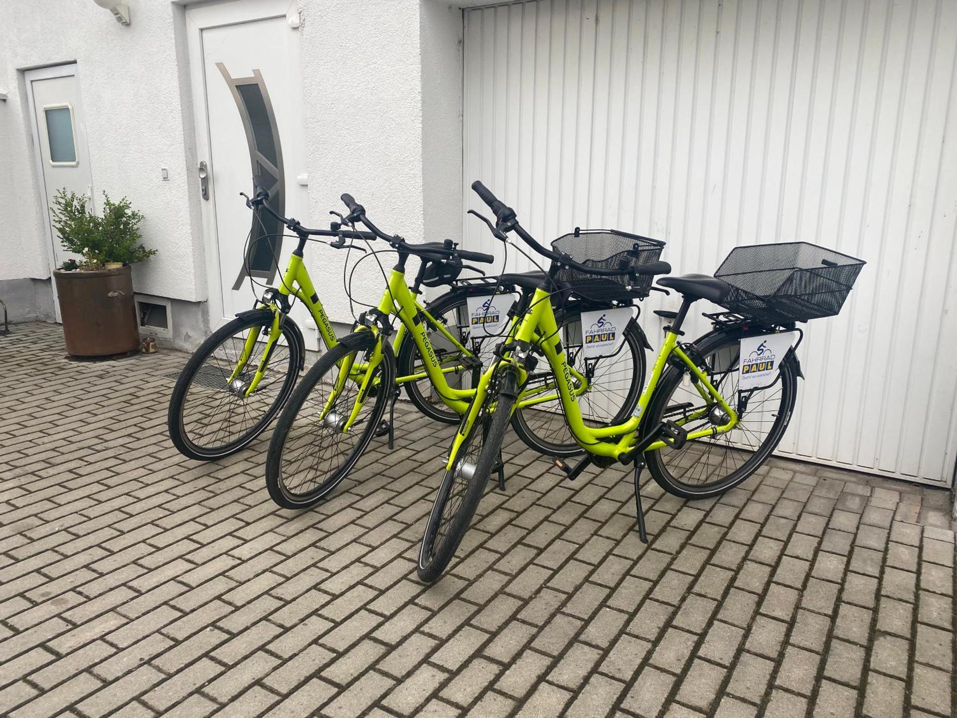 Ferienwohnung am Rande der Dübener Heide