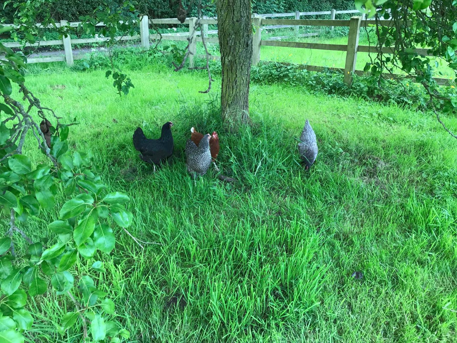 The Stables and Granary at Shawbroom Farm