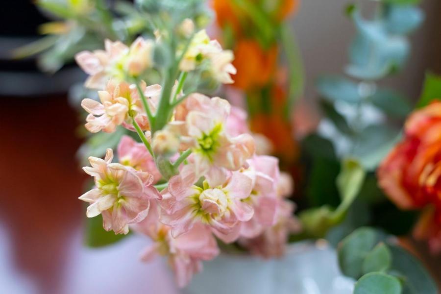 Hotellerie Het Wapen Van Athlone