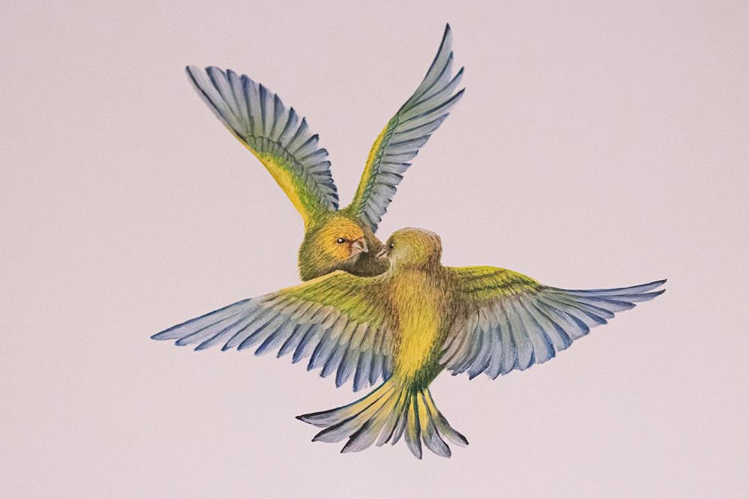 Hotellerie Het Wapen Van Athlone