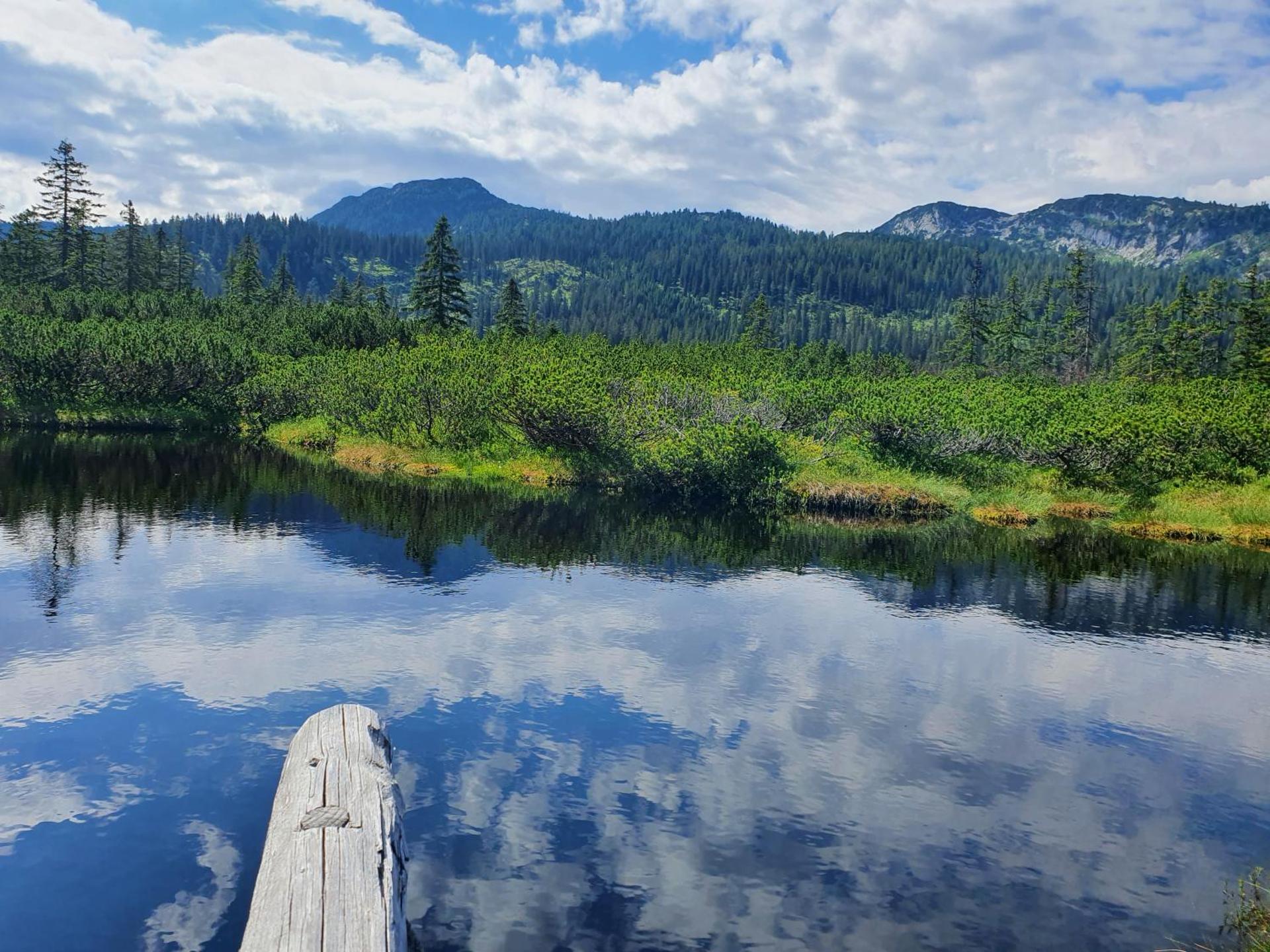 Ferienhaus Waldglück