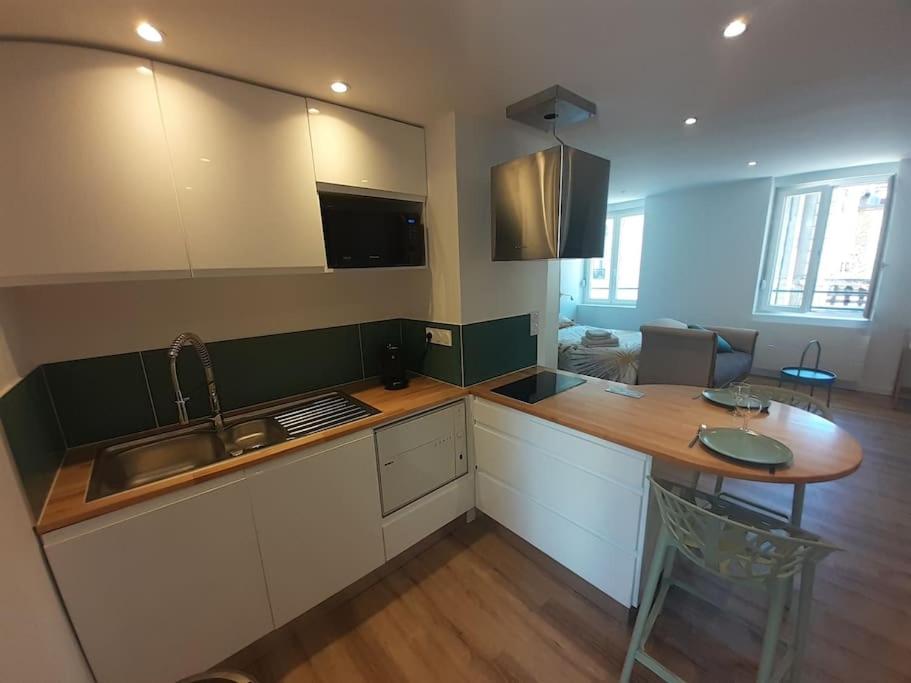 Classé 3 Etoiles IDEAL VIENNE Centre ville 20 min de LYON