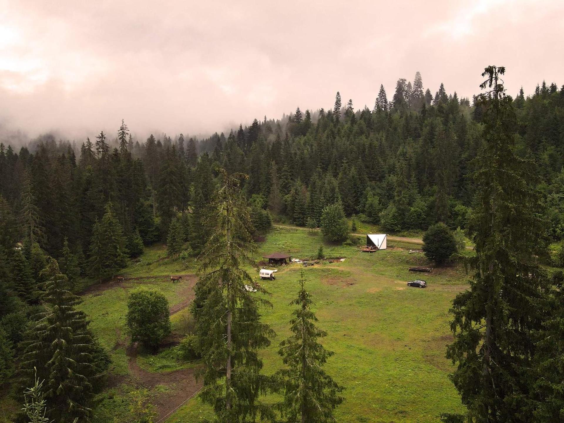 Casa din "Curtea cu cai"