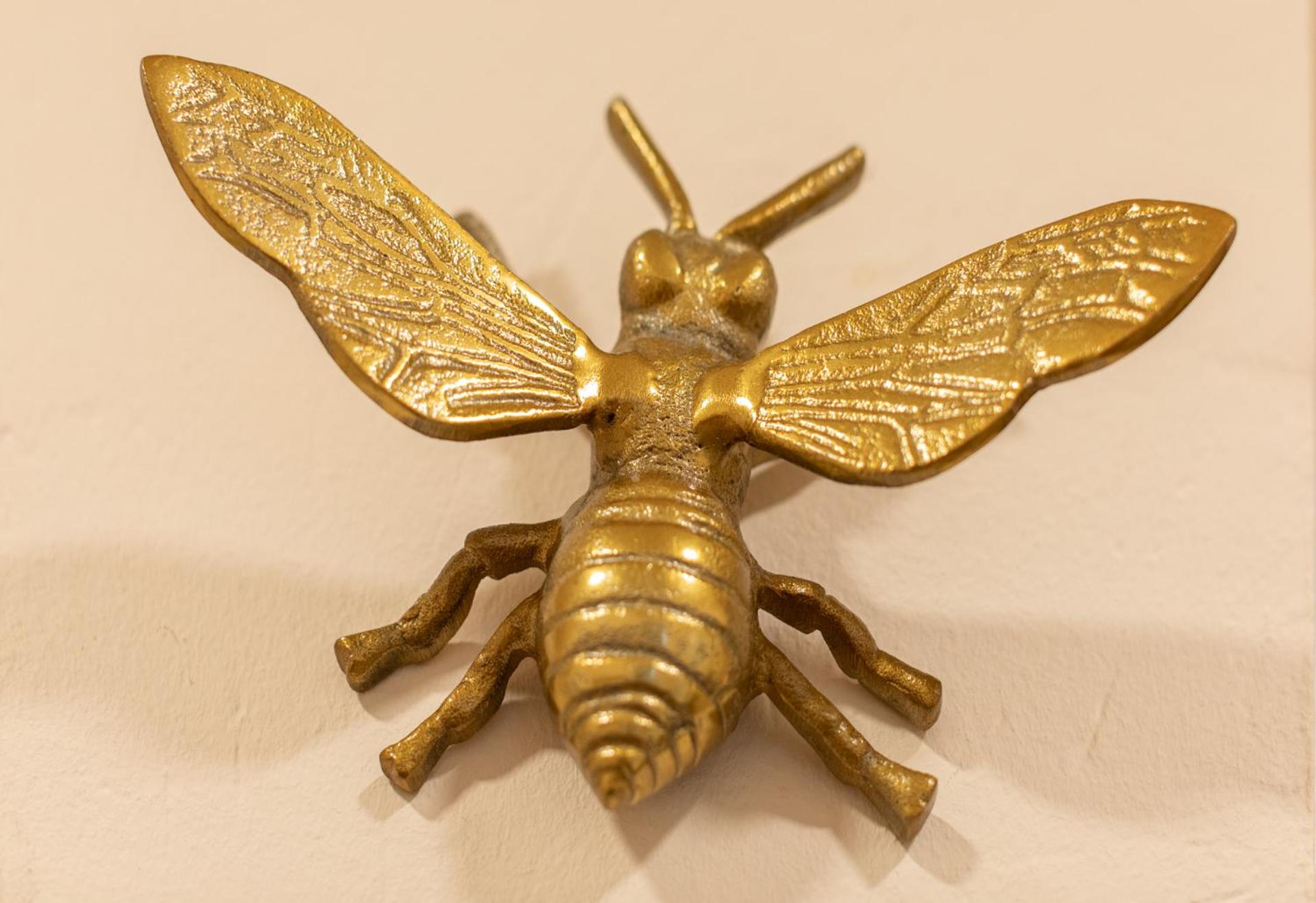 Itsasaurre - baskeyrentals