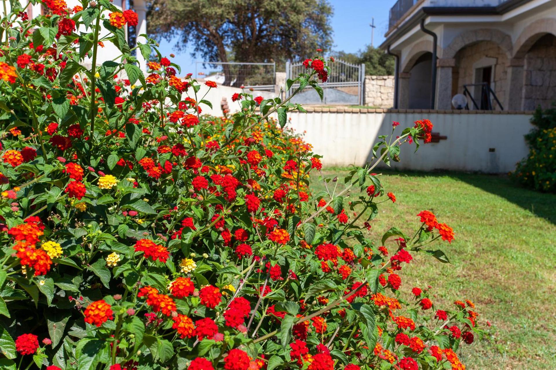 Casa Vacanza da Marco