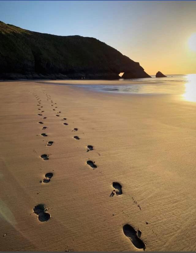 Nefoedd Romantic Shepherds Hut