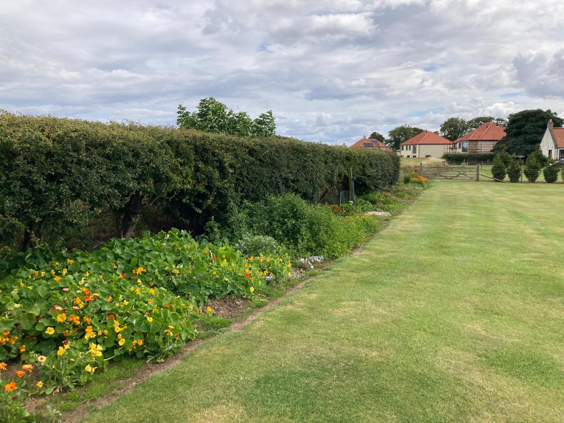 The Cedar Tiny House
