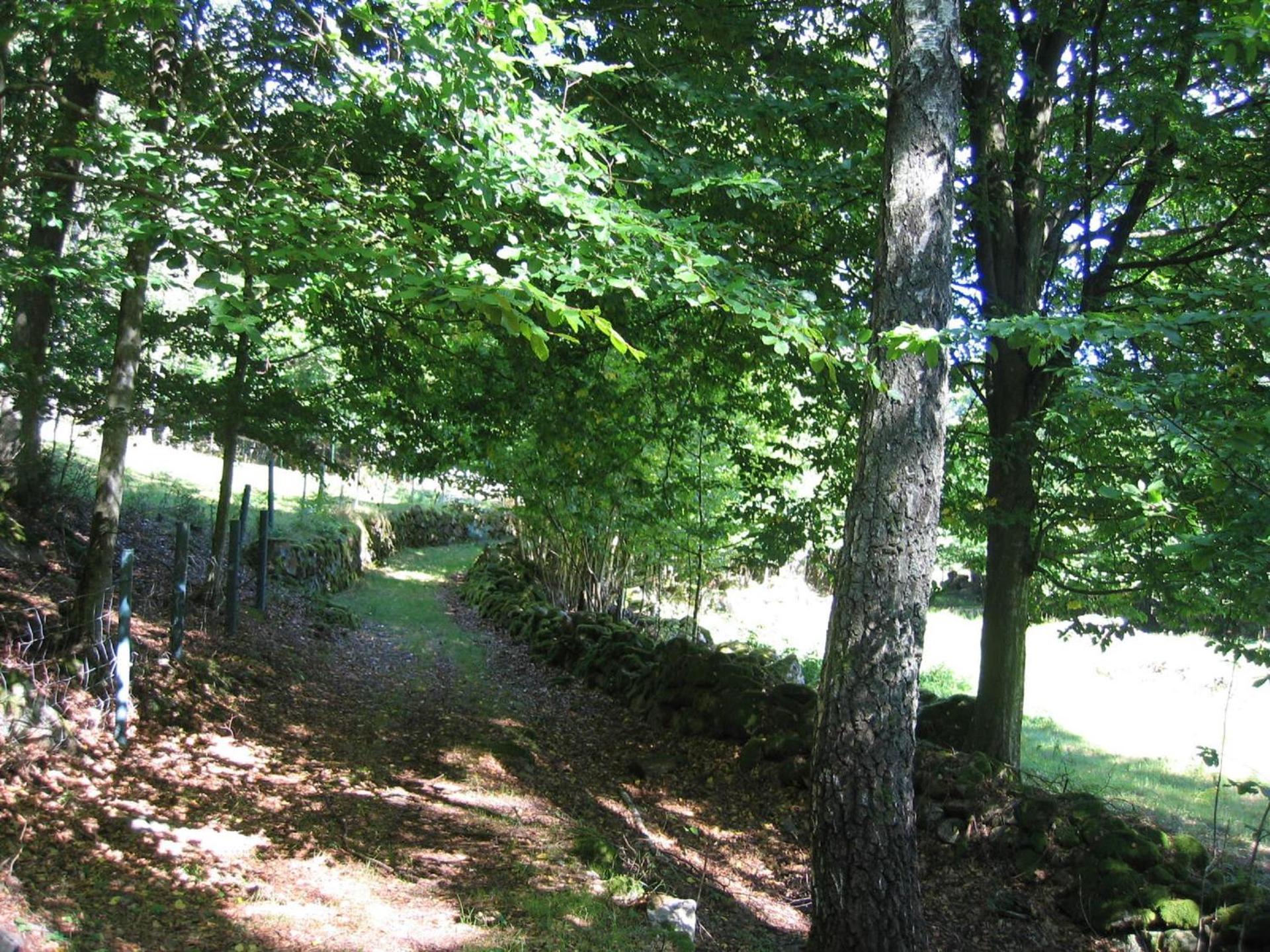 Almagården lantlig miljö