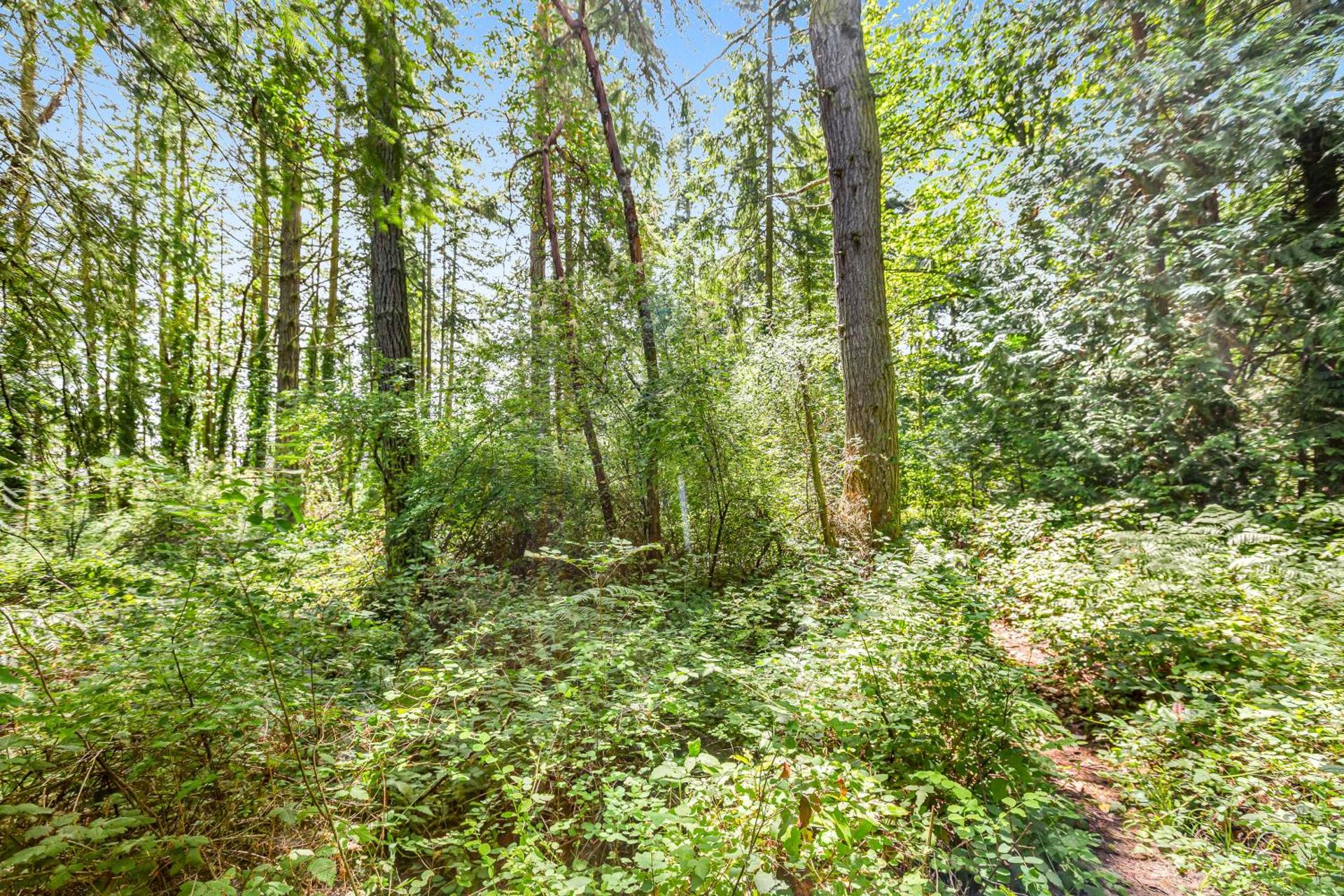 Port Townsend Kala Point