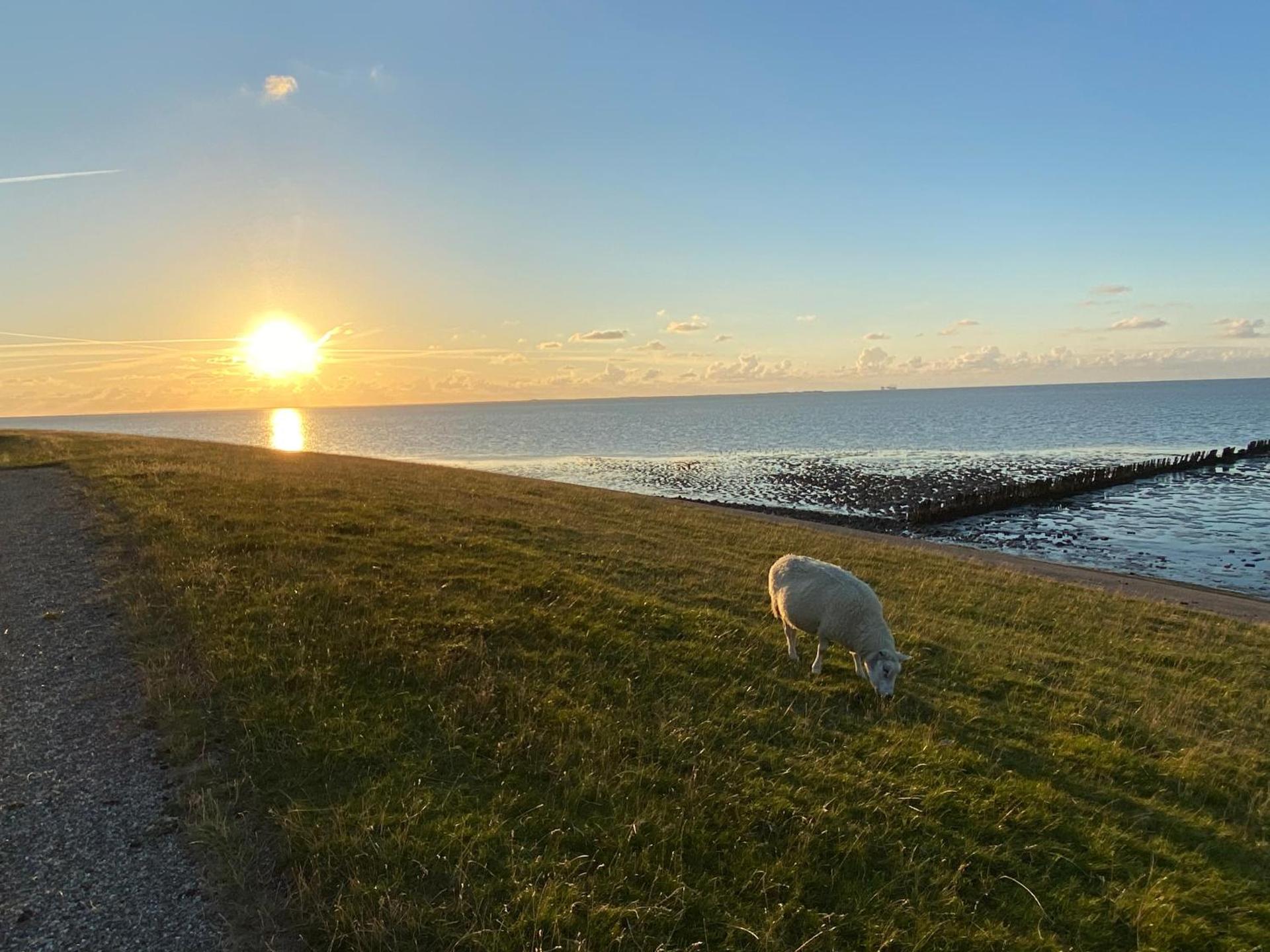 Wierums Huske aan de Waddenzee Unesco Werelderfgoed
