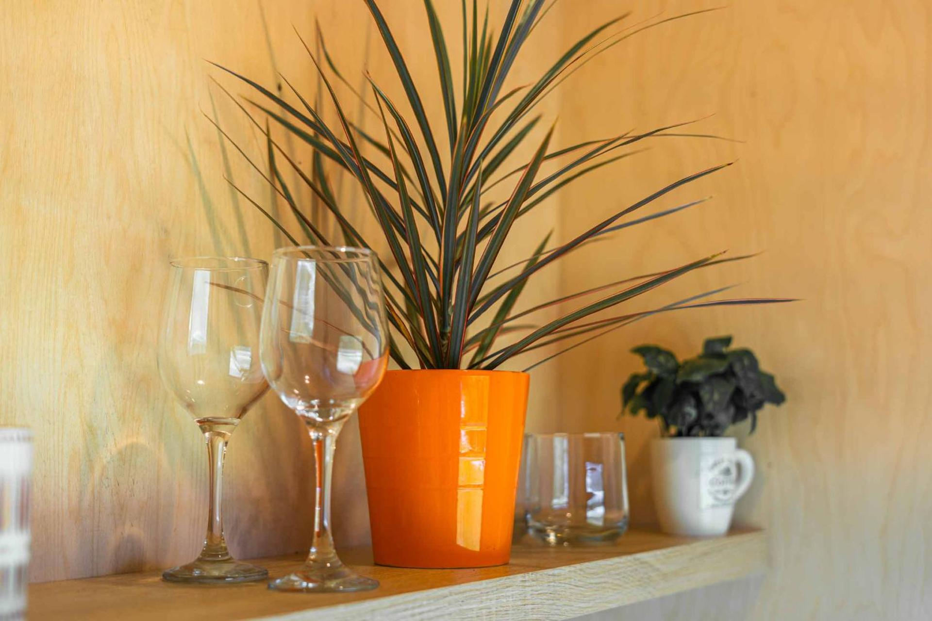 Oaklane Glamping Cabins