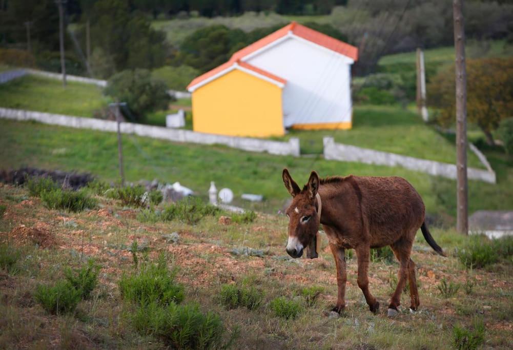 Casa Amado, Aldeia da Pedralva