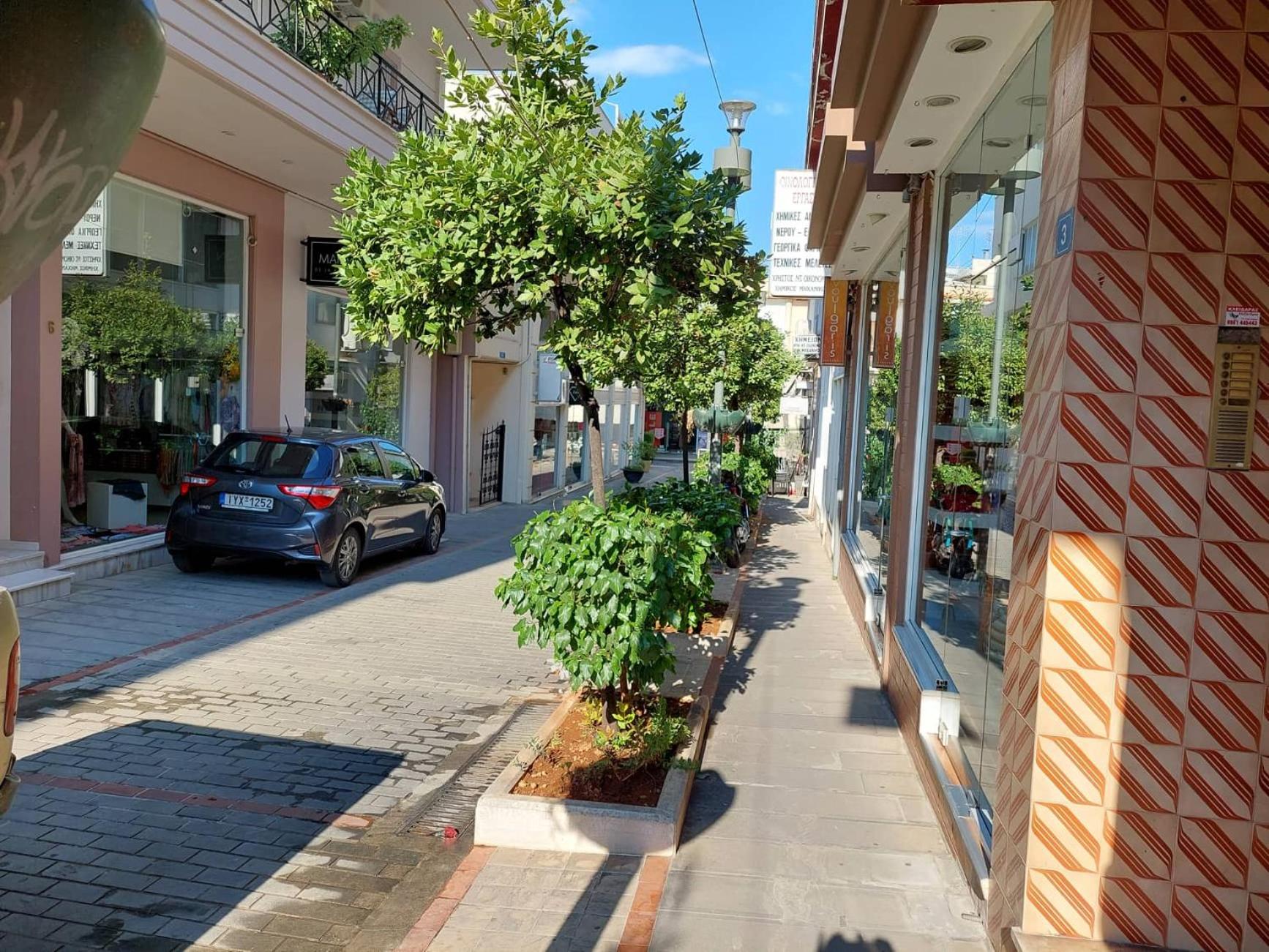 PETMEZA APARTMENT 1 Aigio City F