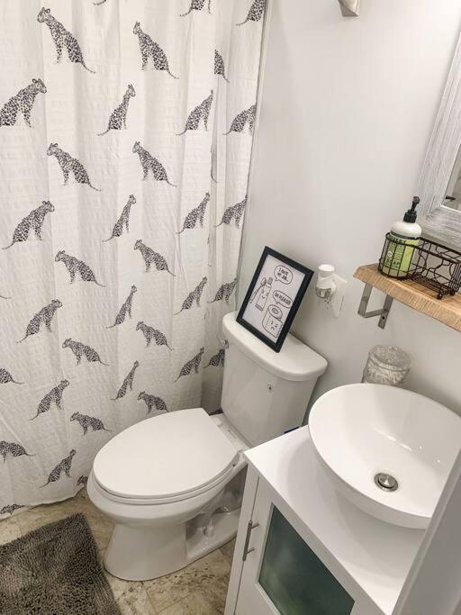 Cozy Modern Apt in the Heart of Fells Point!