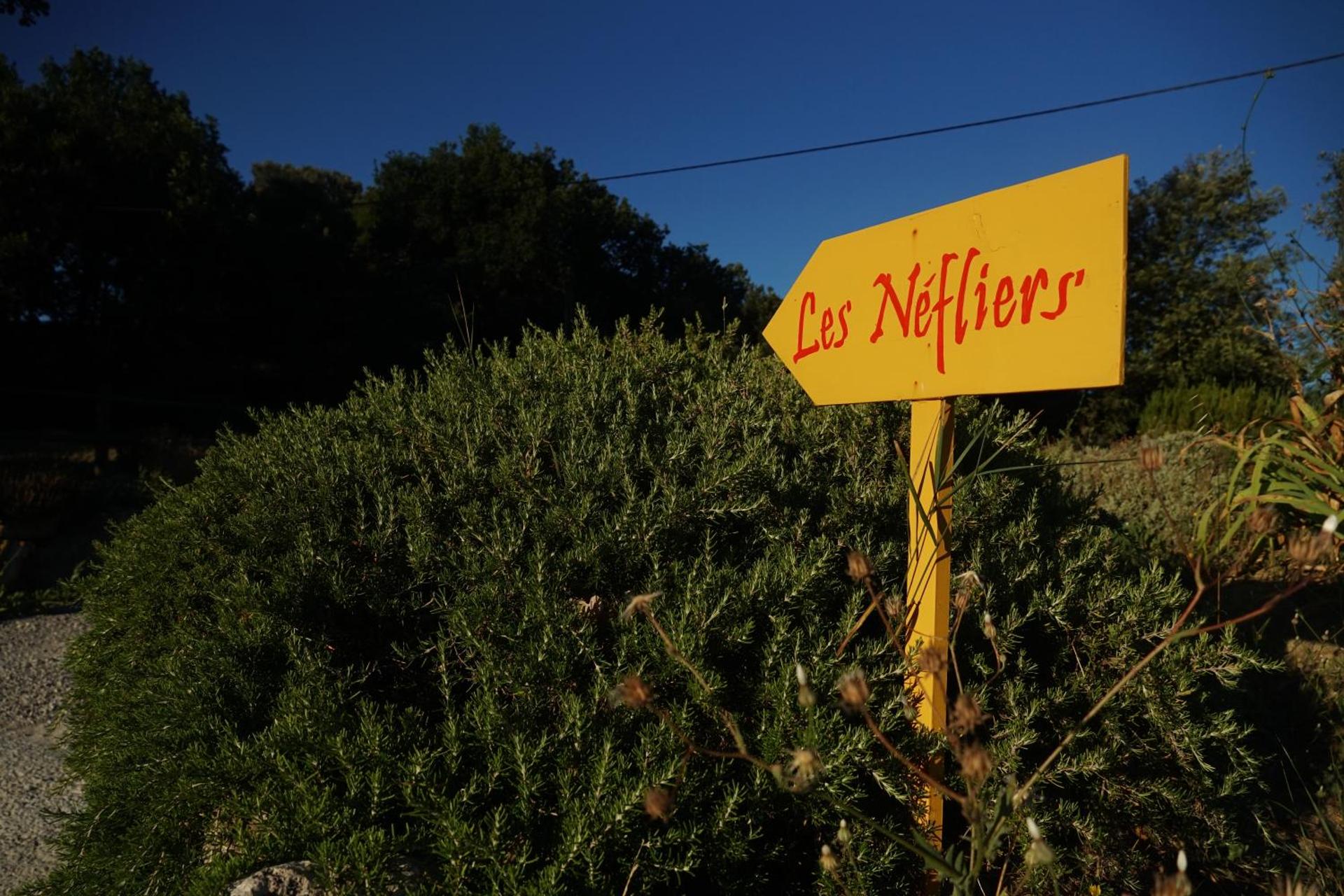 Les Néfliers Gîte