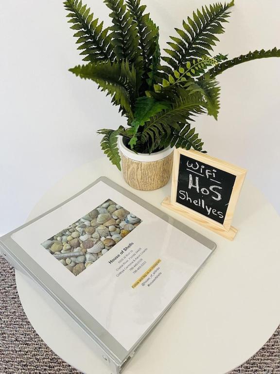 House of Shells, beautiful garden, fenced yard, dog friendly, fire pit!