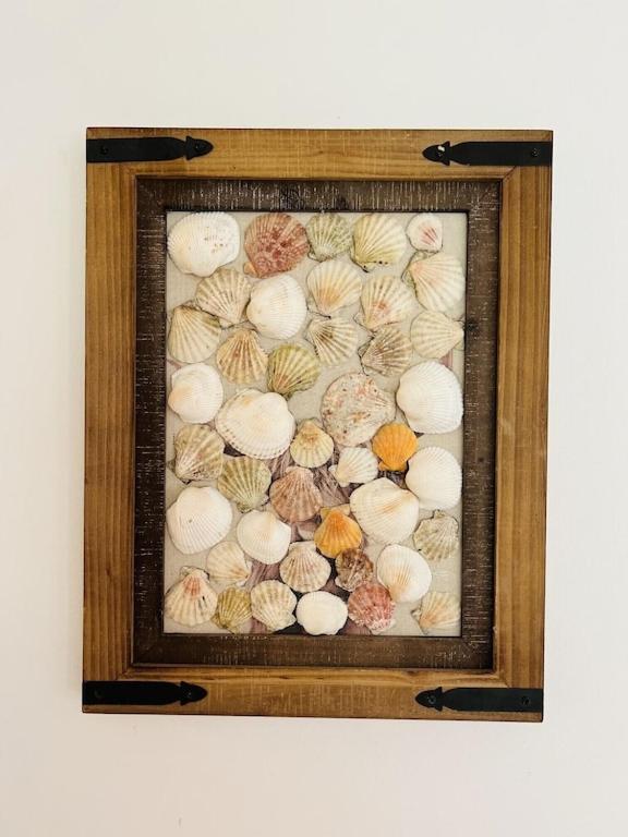 House of Shells, beautiful garden, fenced yard, dog friendly, fire pit!