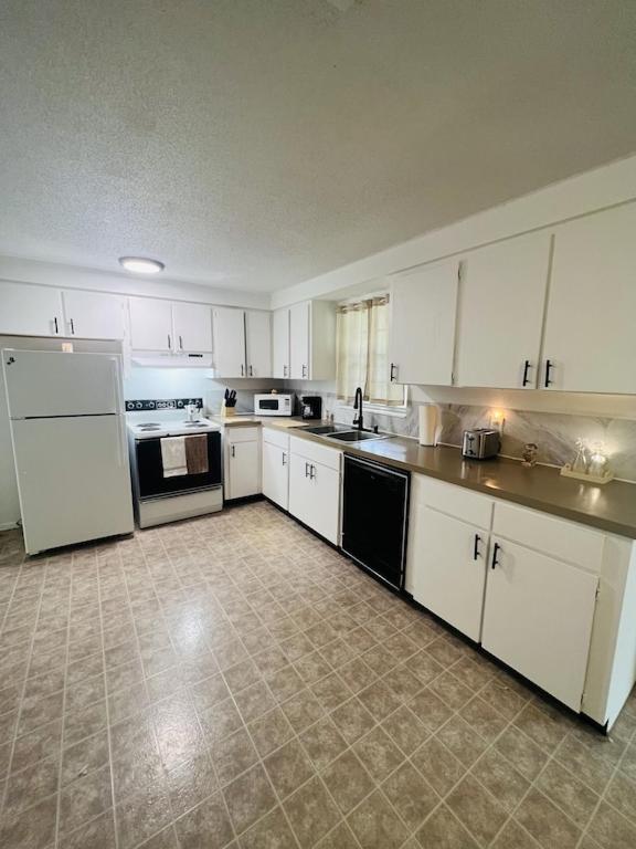 House of Shells, beautiful garden, fenced yard, dog friendly, fire pit!