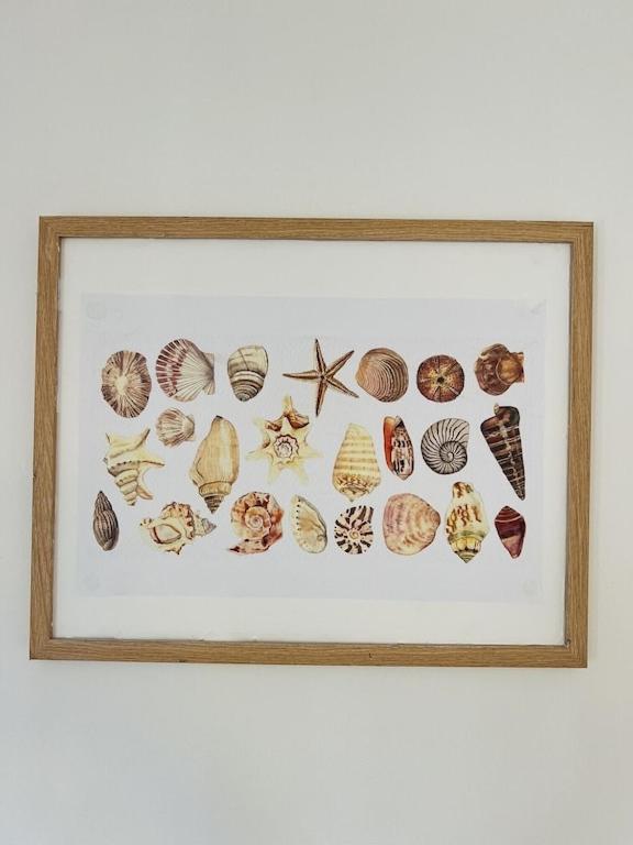 House of Shells, beautiful garden, fenced yard, dog friendly, fire pit!