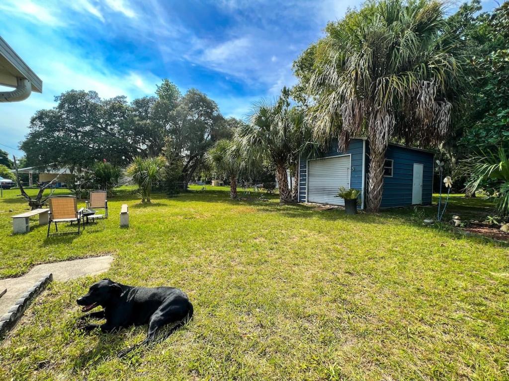 House of Shells, beautiful garden, fenced yard, dog friendly, fire pit!