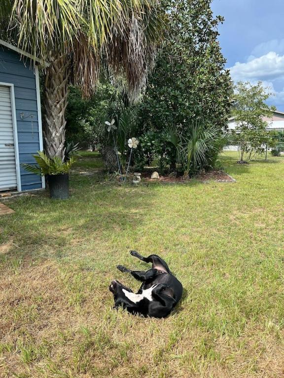 House of Shells, beautiful garden, fenced yard, dog friendly, fire pit!