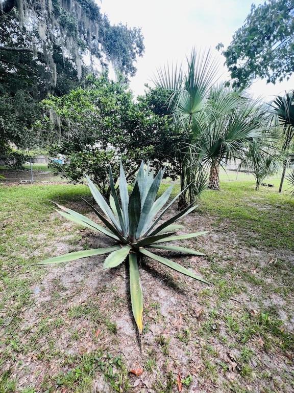 House of Shells, beautiful garden, fenced yard, dog friendly, fire pit!