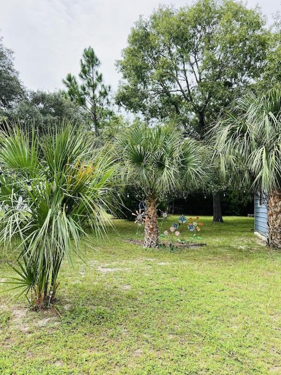 House of Shells, beautiful garden, fenced yard, dog friendly, fire pit!