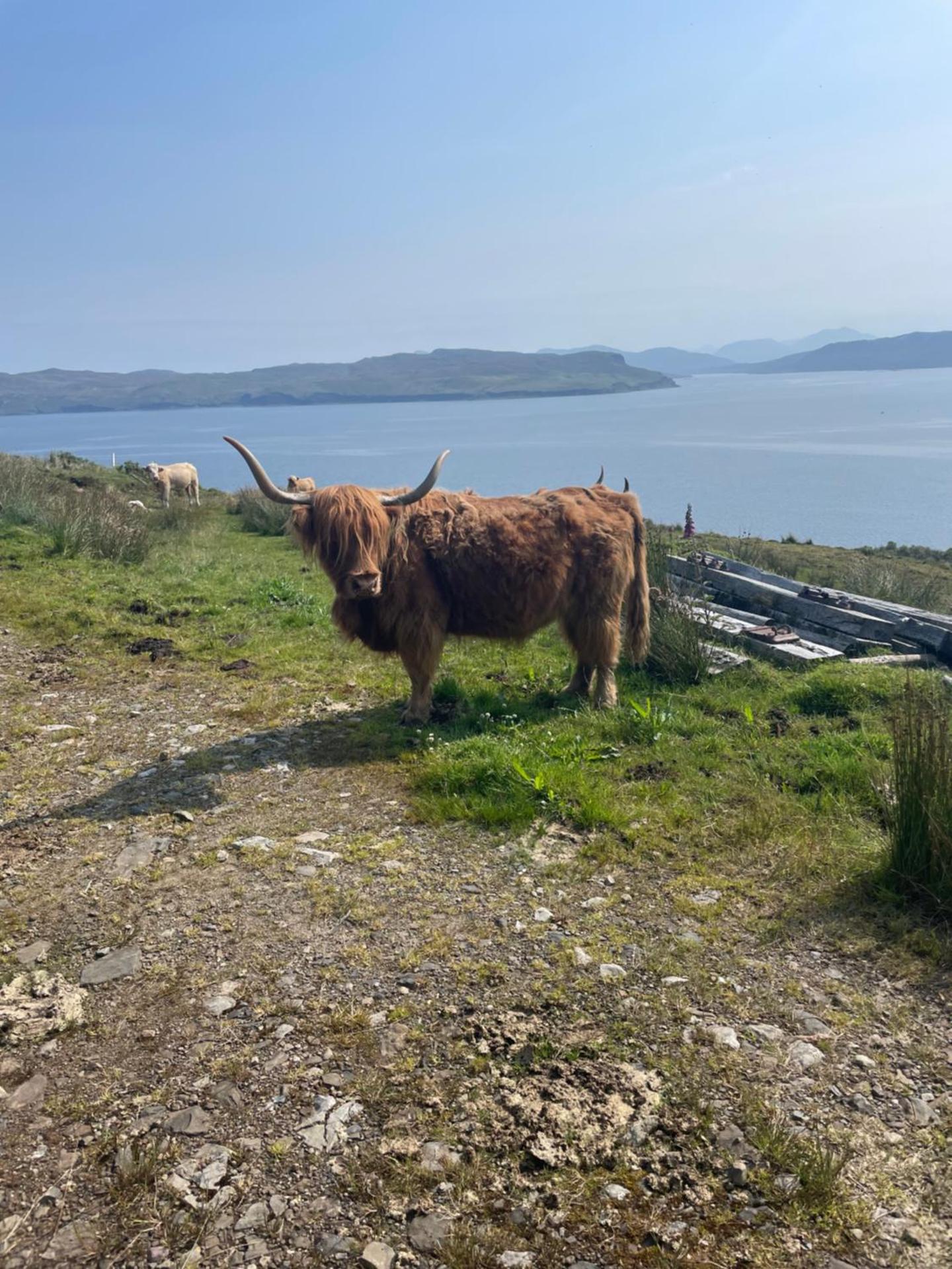 The Rowanberry Suite at Rowan Cottage